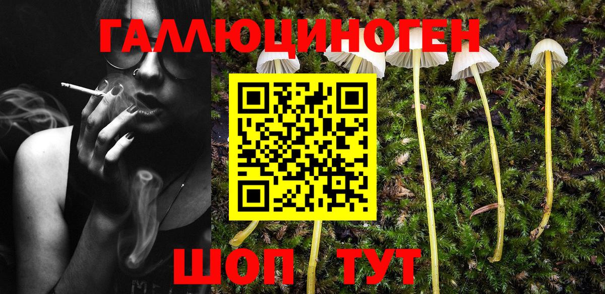 Галлюциногенные грибы Magic Shrooms Великий Устюг